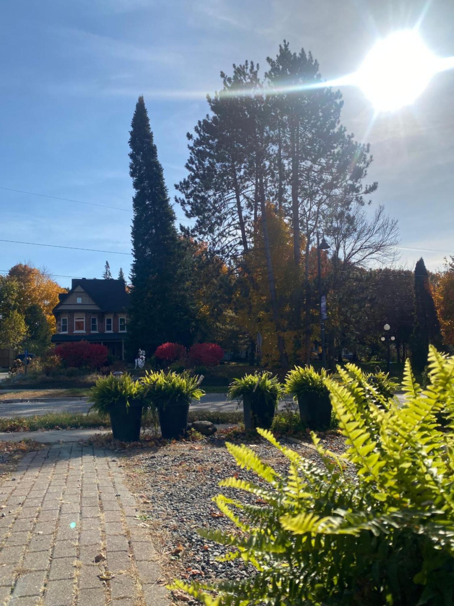 Blue Spruce Muskoka Bed & Breakfast Gravenhurst