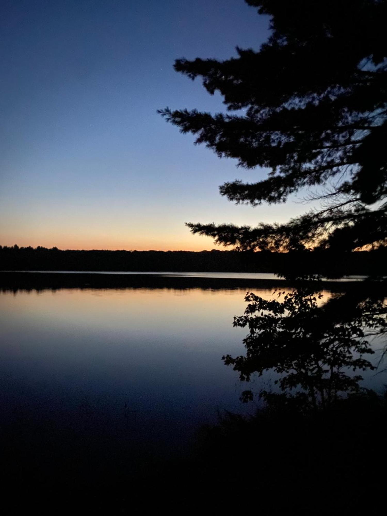 Blue Spruce Muskoka Gravenhurst